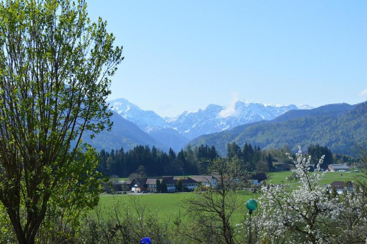 Pension Schindlau Scharnstein 外观 照片